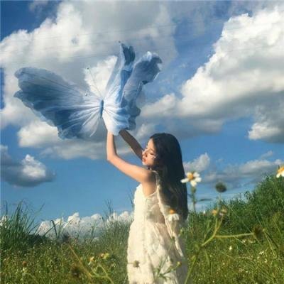 唐吉诃德海报